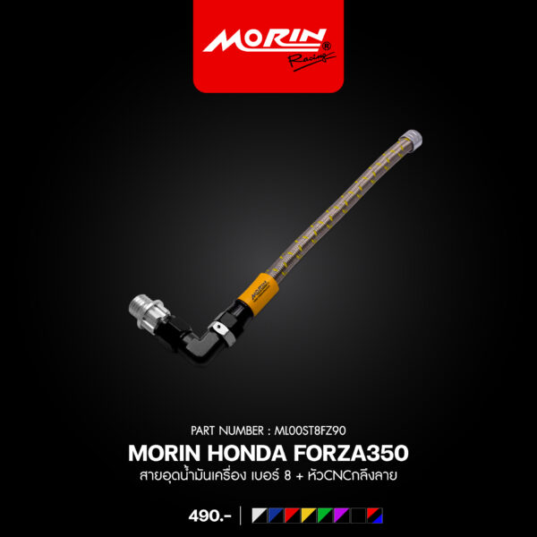 MORIN FORZA 300, 350 Oil Drain Plug, Size 8 + CNC Machined End Cap. - Image 3