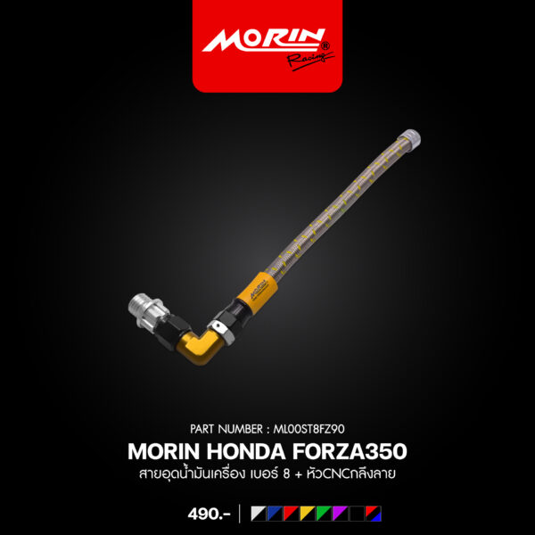 MORIN FORZA 300, 350 Oil Drain Plug, Size 8 + CNC Machined End Cap. - Image 5