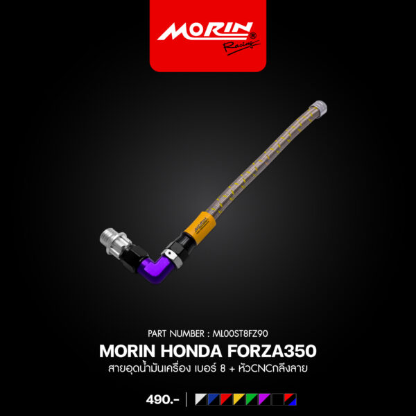 MORIN FORZA 300, 350 Oil Drain Plug, Size 8 + CNC Machined End Cap. - Image 7