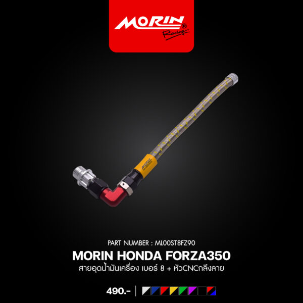 MORIN FORZA 300, 350 Oil Drain Plug, Size 8 + CNC Machined End Cap. - Image 8